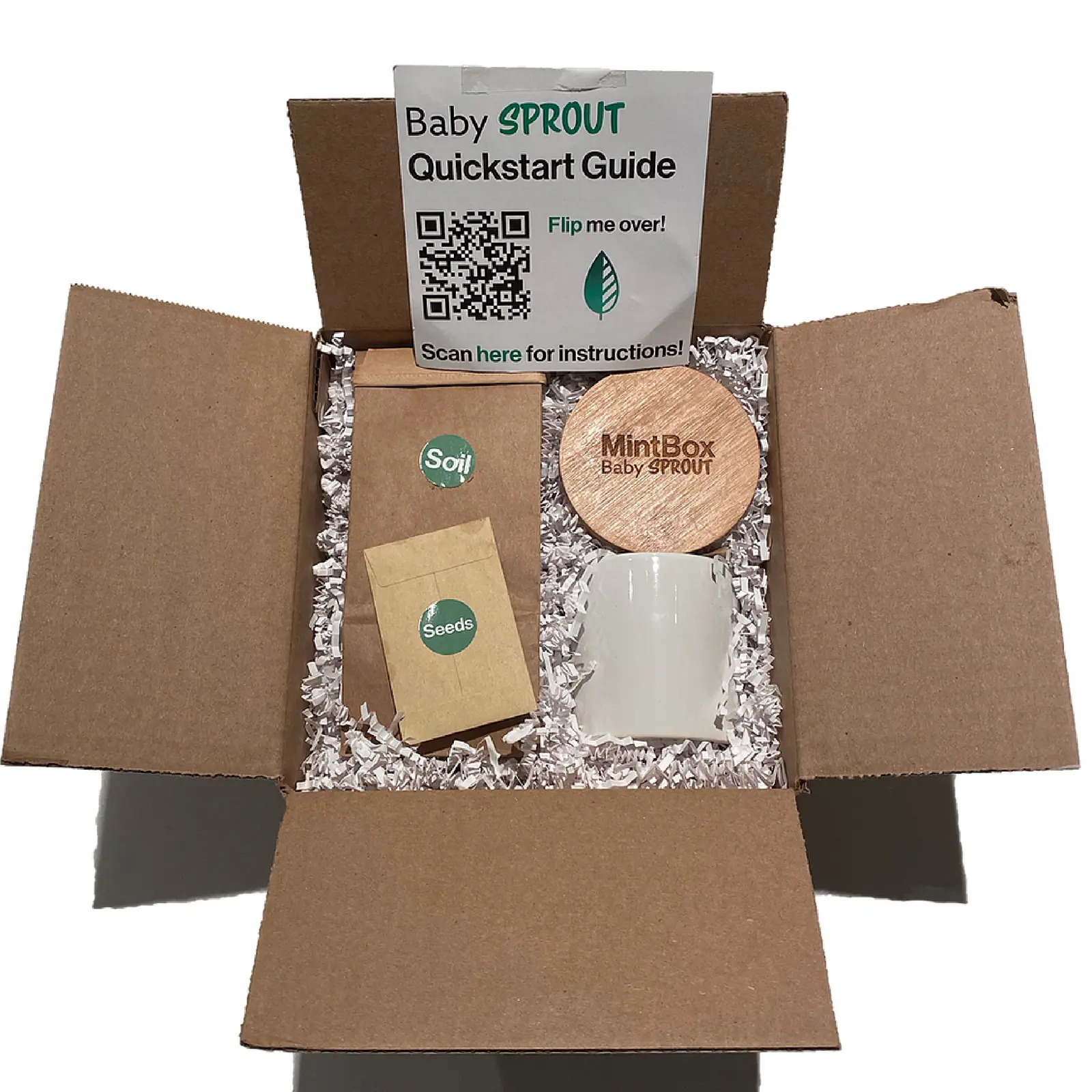 An assembled Baby Sprout kit on a window sill.