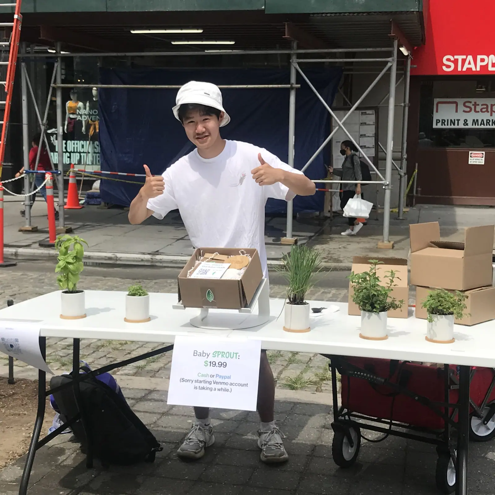 The MintBox stall at the Union Square Greenmarket, with Baby Sprout kits laid out on a table.